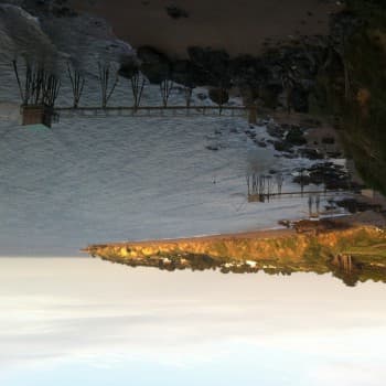 Profil de Wassila, 43 ans, Milf à Asnois (Vienne)